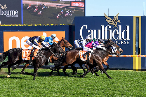 IMMORTAL LOVE WINS GROUP 3 McNEIL STAKES.